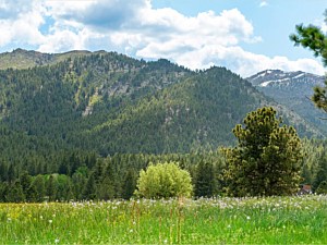 West Aspect View 2